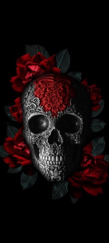 skull