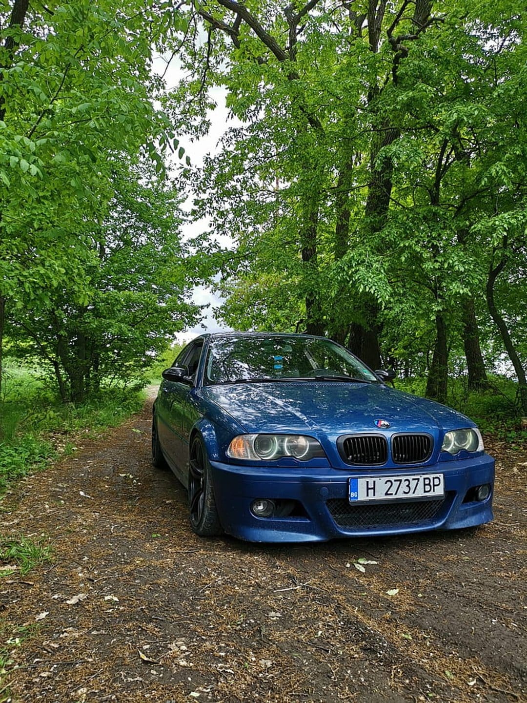 Blue BMW E46 sedan parked on a dirt path in a lush forest with dappled sunlight hitting the car.