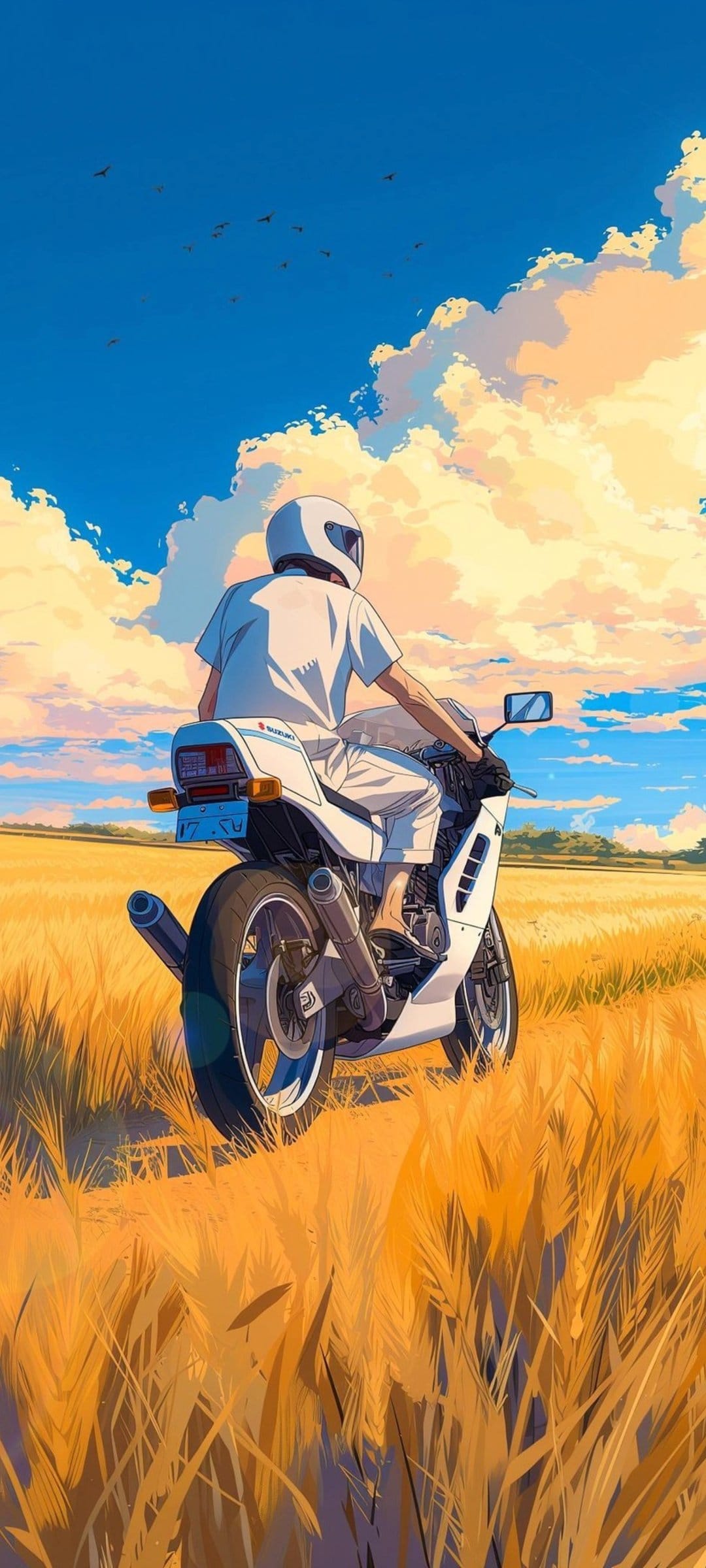 Motorcyclist from behind riding through a vast golden field under a blue sky with clouds and flying birds.