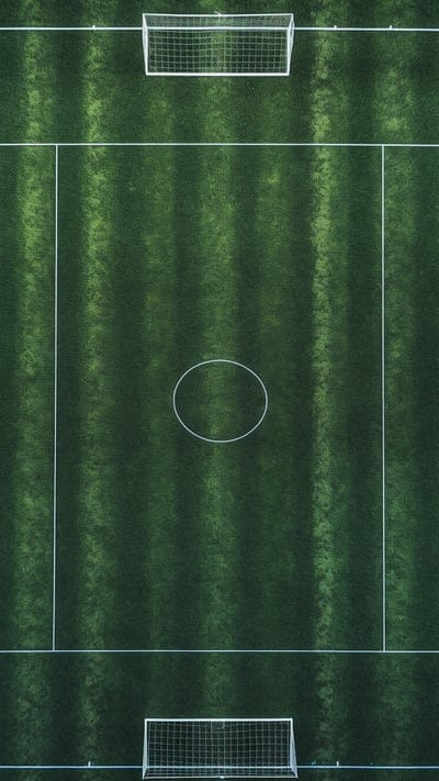 football field,field,markings,grass,gate