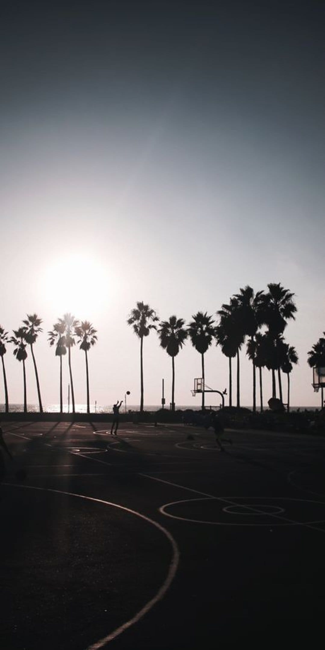 Basketball players jump toward a hoop against a hazy golden sun and towering palm trees at Venice Beach.