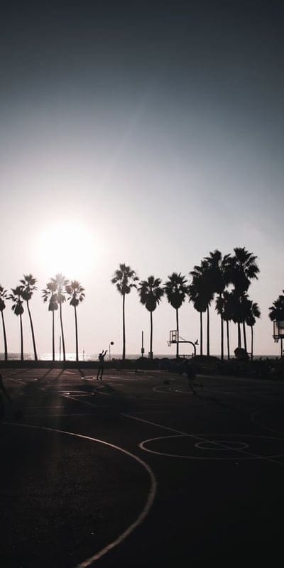 Sunset, basketball, beach, Venice Beach, California, palm trees, silhouette, sun, ocean, outdoor court, vibrant, warm light, active, sports, leisure, twilight, summer, recreation, coastal, iconic.