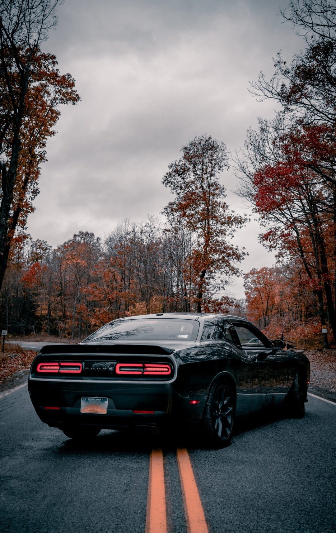 Black muscle car with glowing red taillights parked on a forest road during autumn with orange leaves.