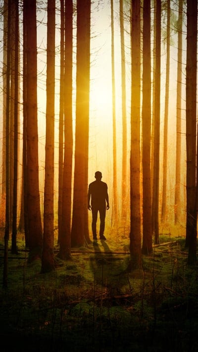 boy,sunset