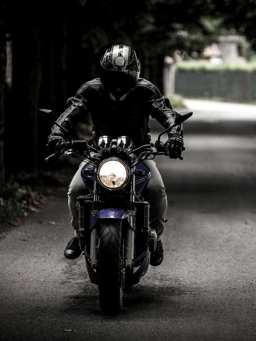 Motorcyclist in a leather jacket riding a blue bike on a dark tree-lined road with a glowing headlight at dusk.