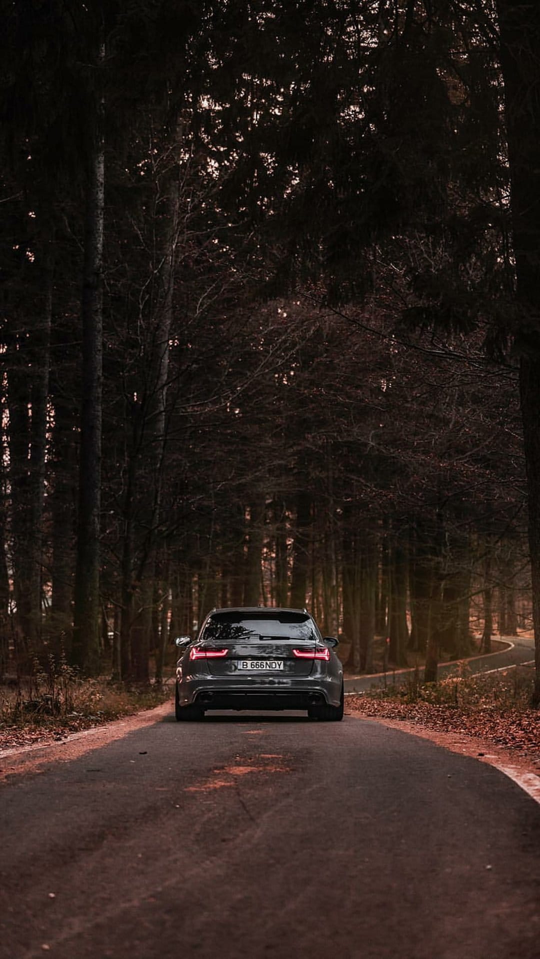 Dark Audi wagon with red taillights driving along a narrow winding road through a dense, shadowy pine forest.