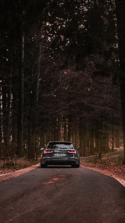 German Hunter, audi, rs6, car, supercar sports, forest, dark, new, rally, mobile wallpaper, android wallpaper, iPhone wallpaper, phone wallpaper