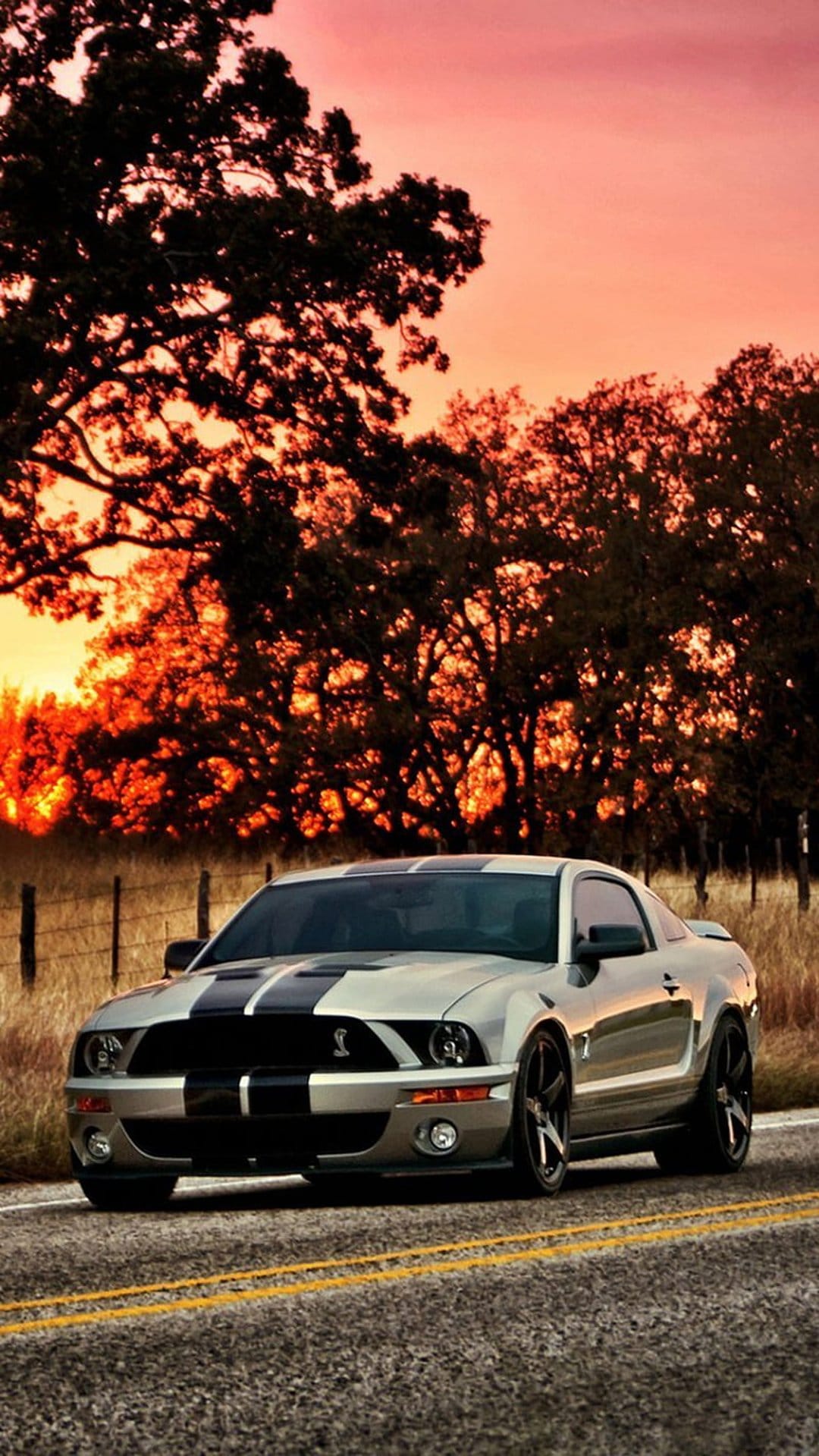Silver Ford Mustang GT silhouetted against an orange sunset sky on a road lined with glowing forest trees.