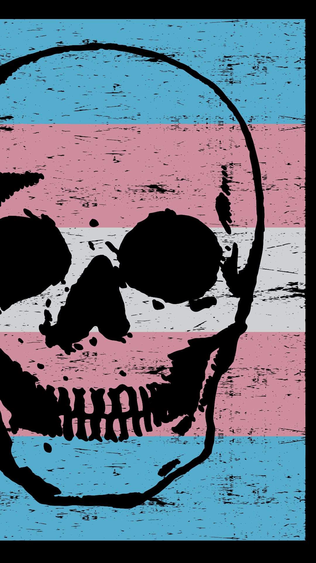 Black skull silhouette centered over distressed light blue, pink, and white stripes with a gritty grunge texture.