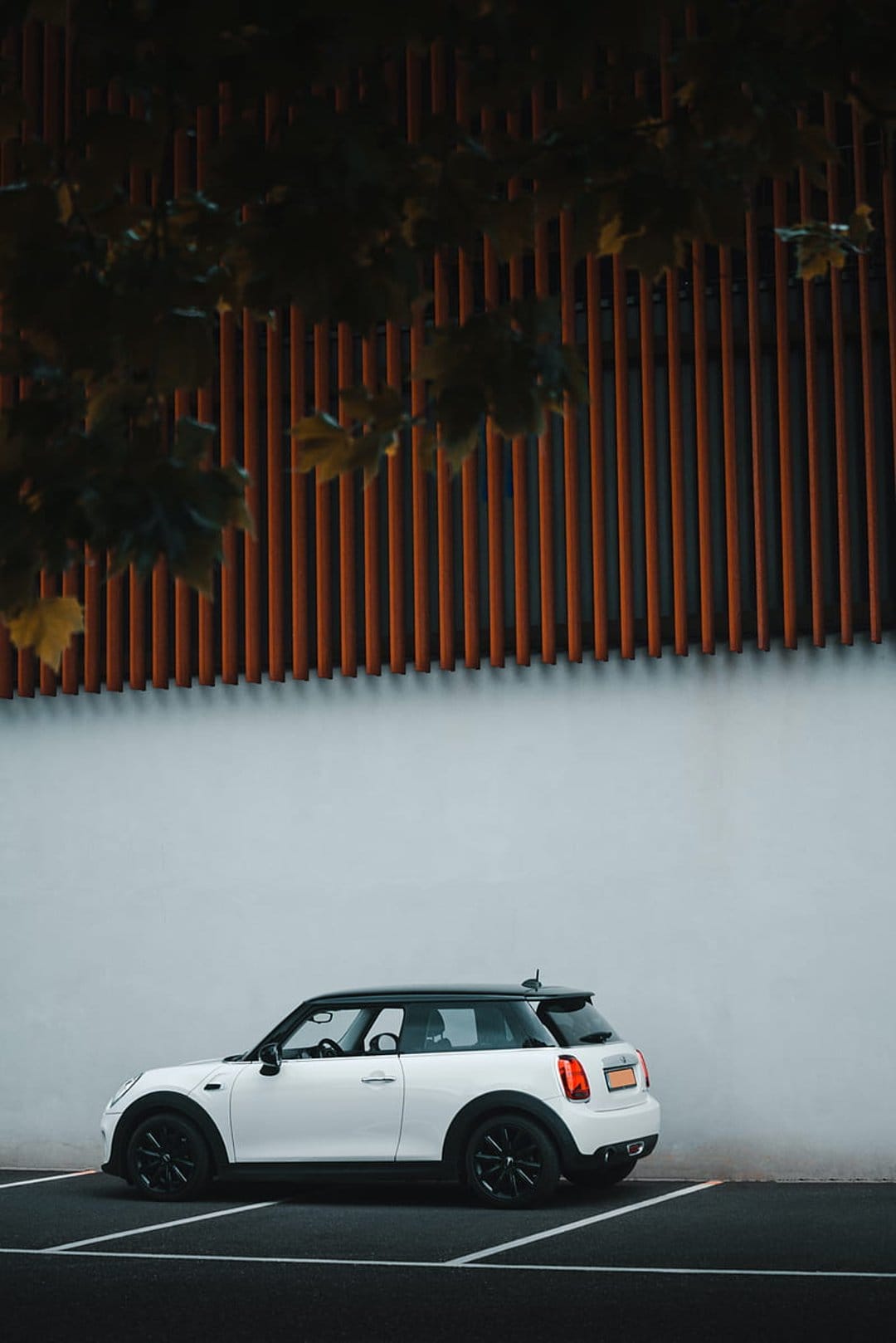White Mini Cooper parked against a white wall and orange slatted building with autumn leaves at the top frame.
