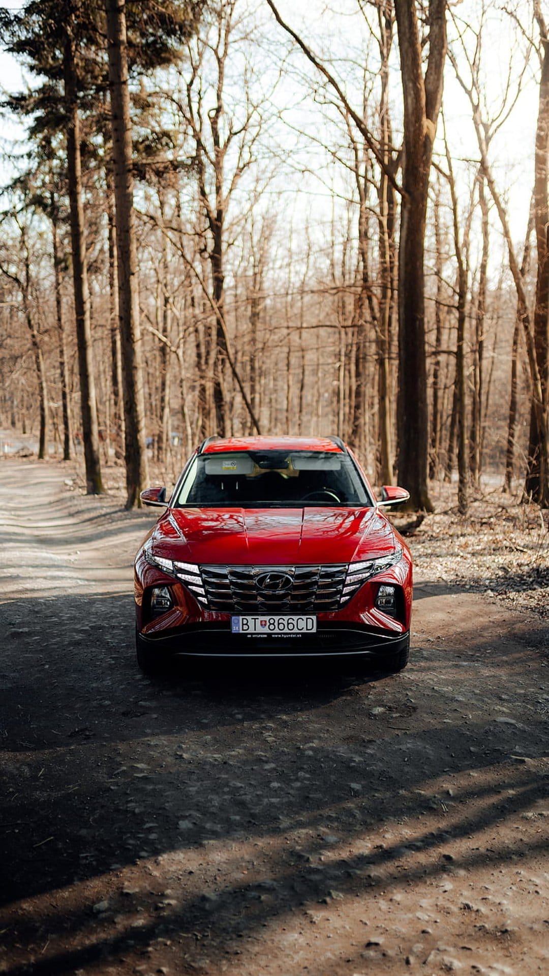 Red Hyundai Tucson SUV parked on a dirt trail under tall trees with autumn leaves and dappled sunlight.