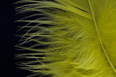 feather,fluff,laptop wallpaper,cool backgrounds,bird feather,free background,windows wallpaper,down,wallpaper 4k,wallpaper hd,easy,beautiful wallpaper,full hd wallpaper,yellow,jewellery,hd wallpaper,decorate,4k wallpaper,4k wallpaper,mac wallpaper