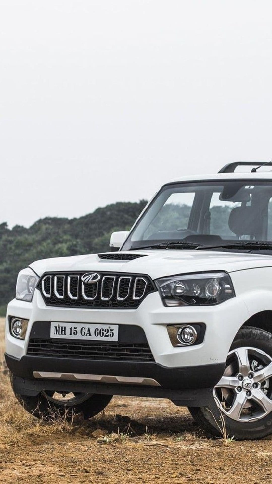 White Mahindra Scorpio SUV parked on dry grass with rolling green hills in the soft focus background.