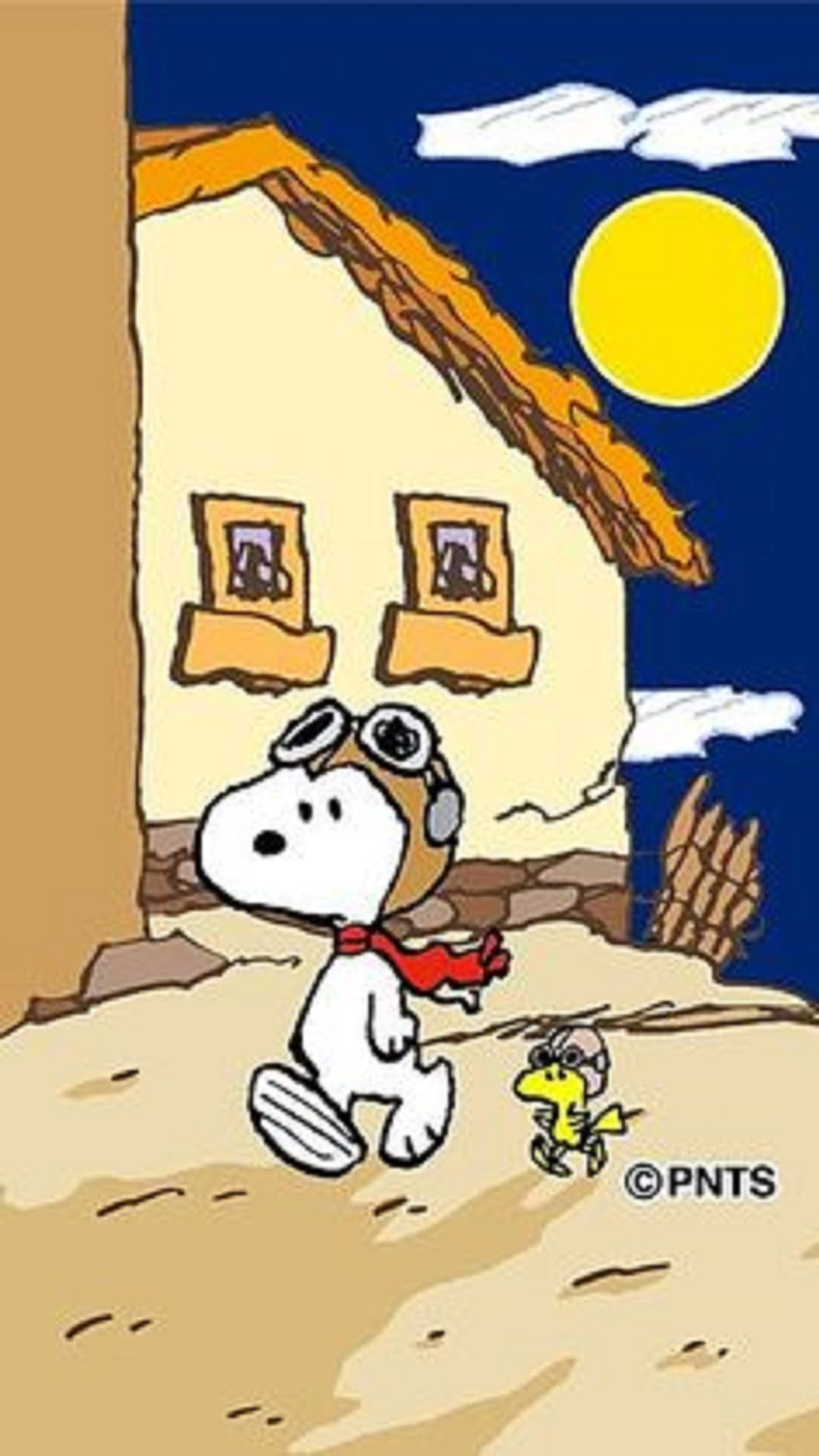 Snoopy and Woodstock wear pilot helmets and goggles while standing before a small house under a night sky.