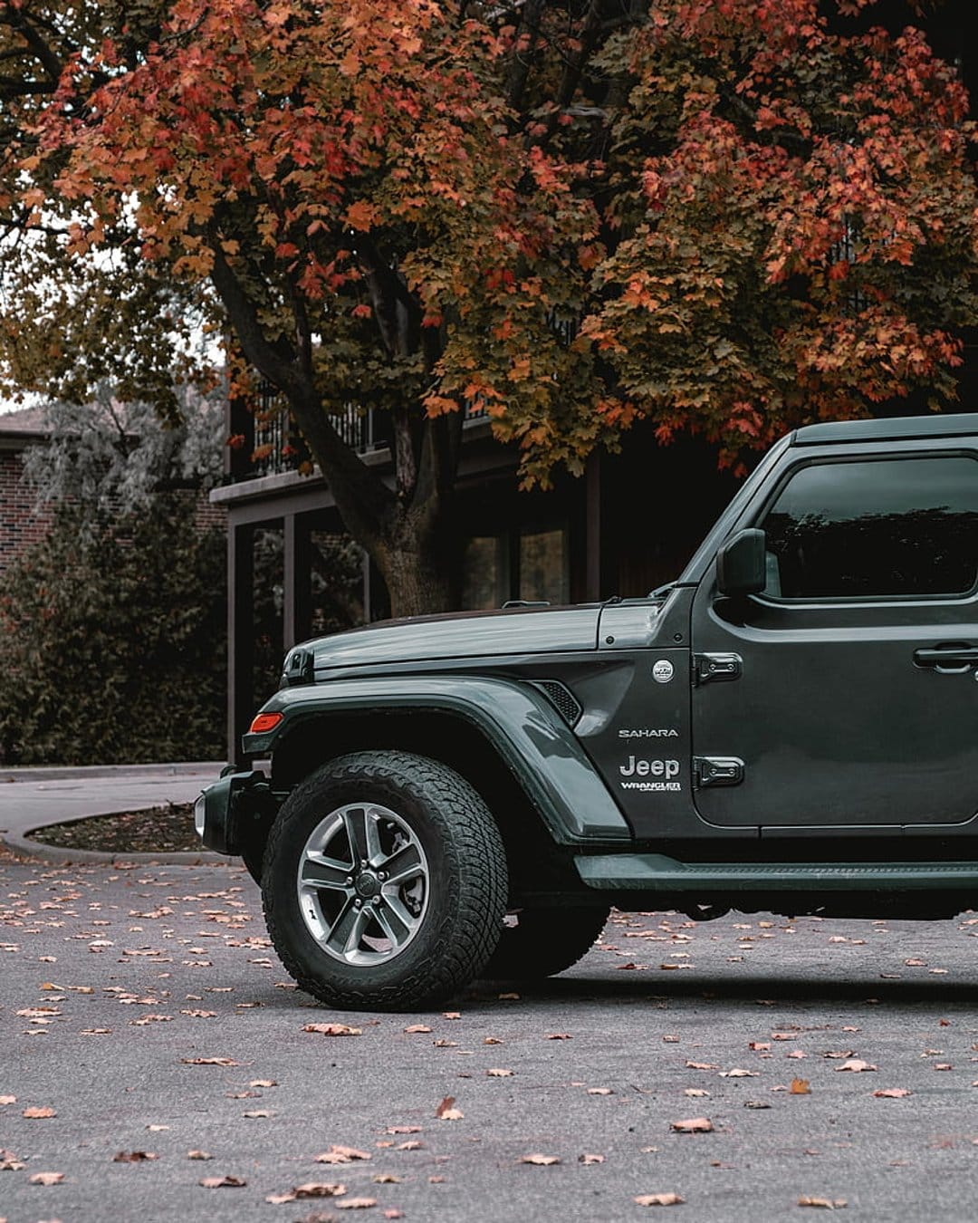 Dark gray Jeep Wrangler Sahara on a street covered in orange autumn leaves with vibrant red trees behind.