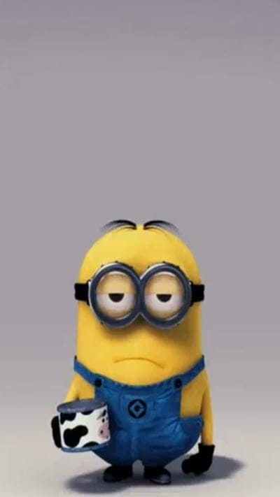 Minion, cartoons