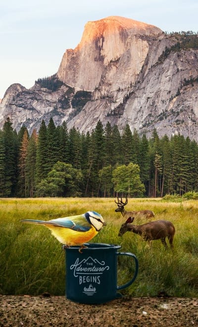 magical,beautiful wallpaper,mountain,landscape,bird,adventure,breakfast,air,free,nature,background,screen,iPhone wallpaper