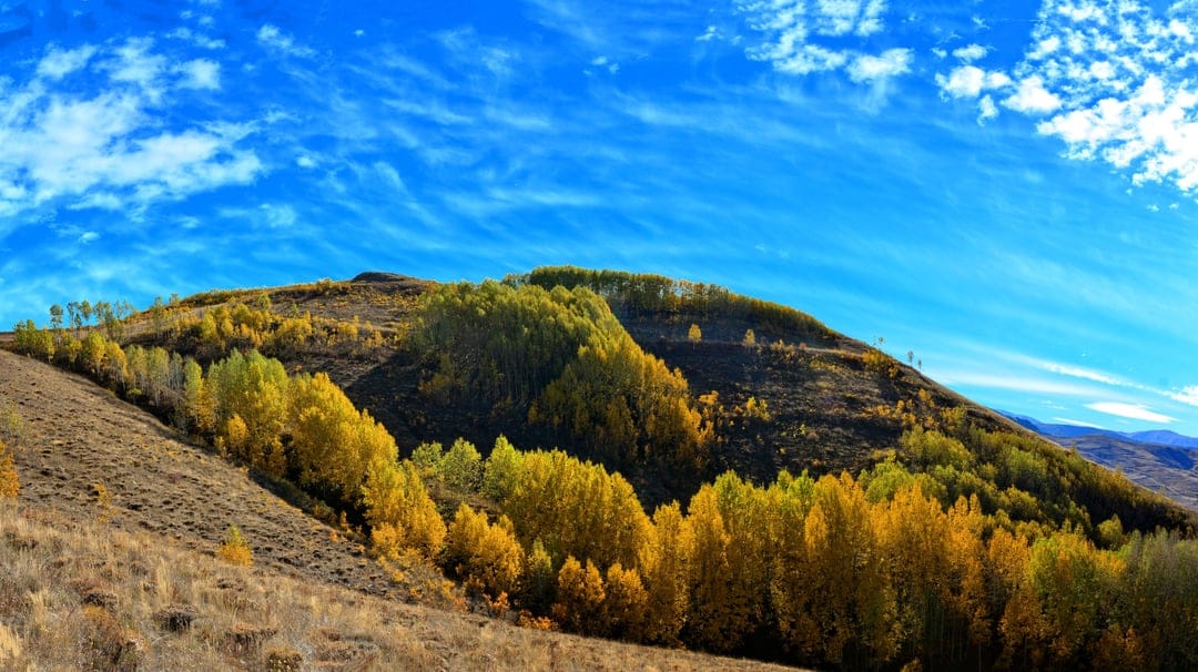 Golden yellow and green trees cover rolling hills under a bright blue sky with thin white clouds in a valley.