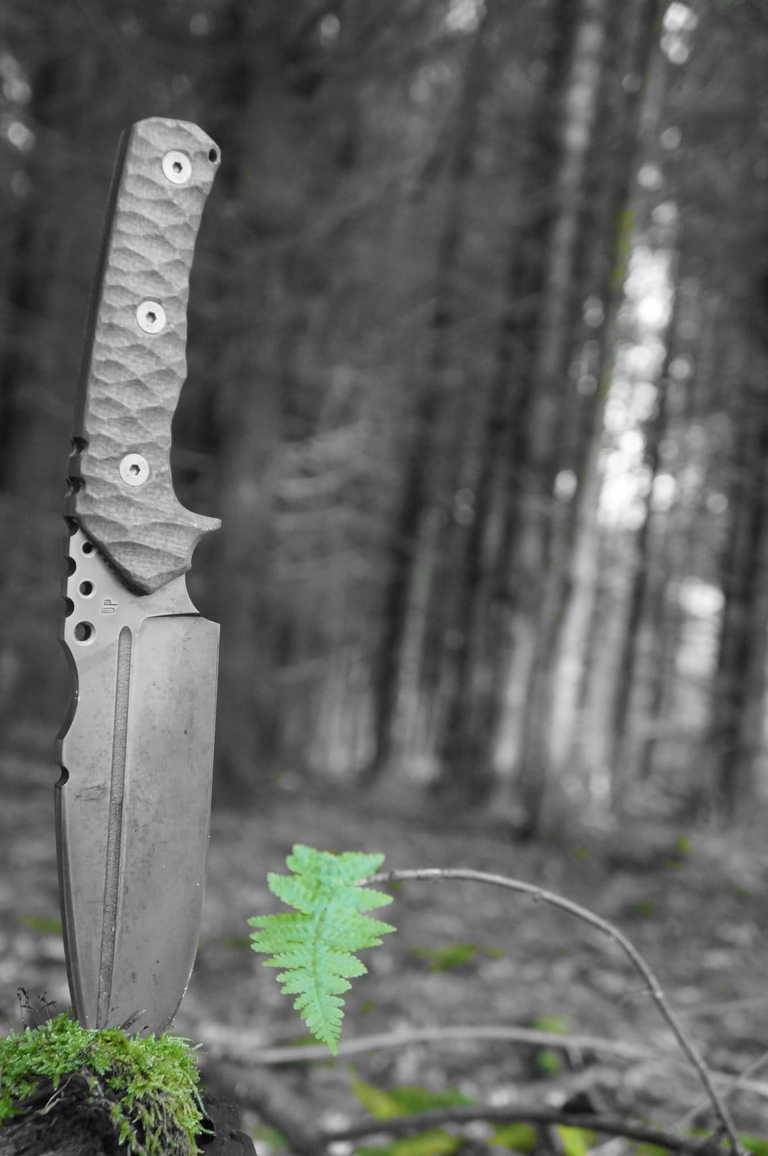 Weathered knife blade embedded in thick green moss with a vibrant fern leaf against a desaturated forest floor.