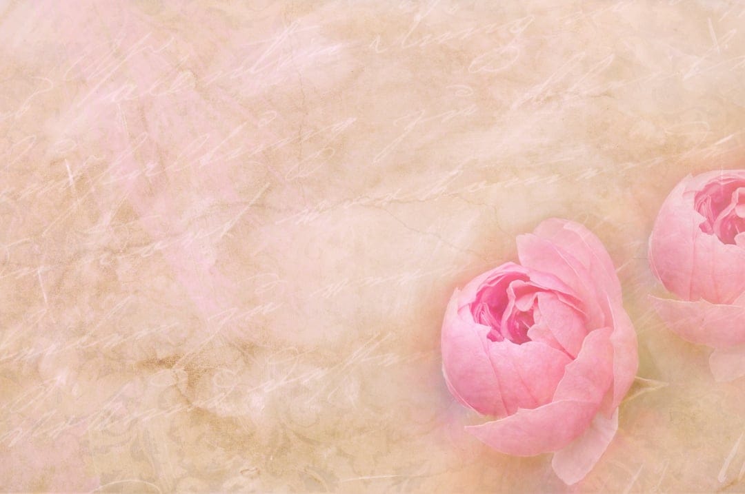 Two soft pink rosebuds centered on a rustic, textured sepia background with subtle shadows and vintage lighting.