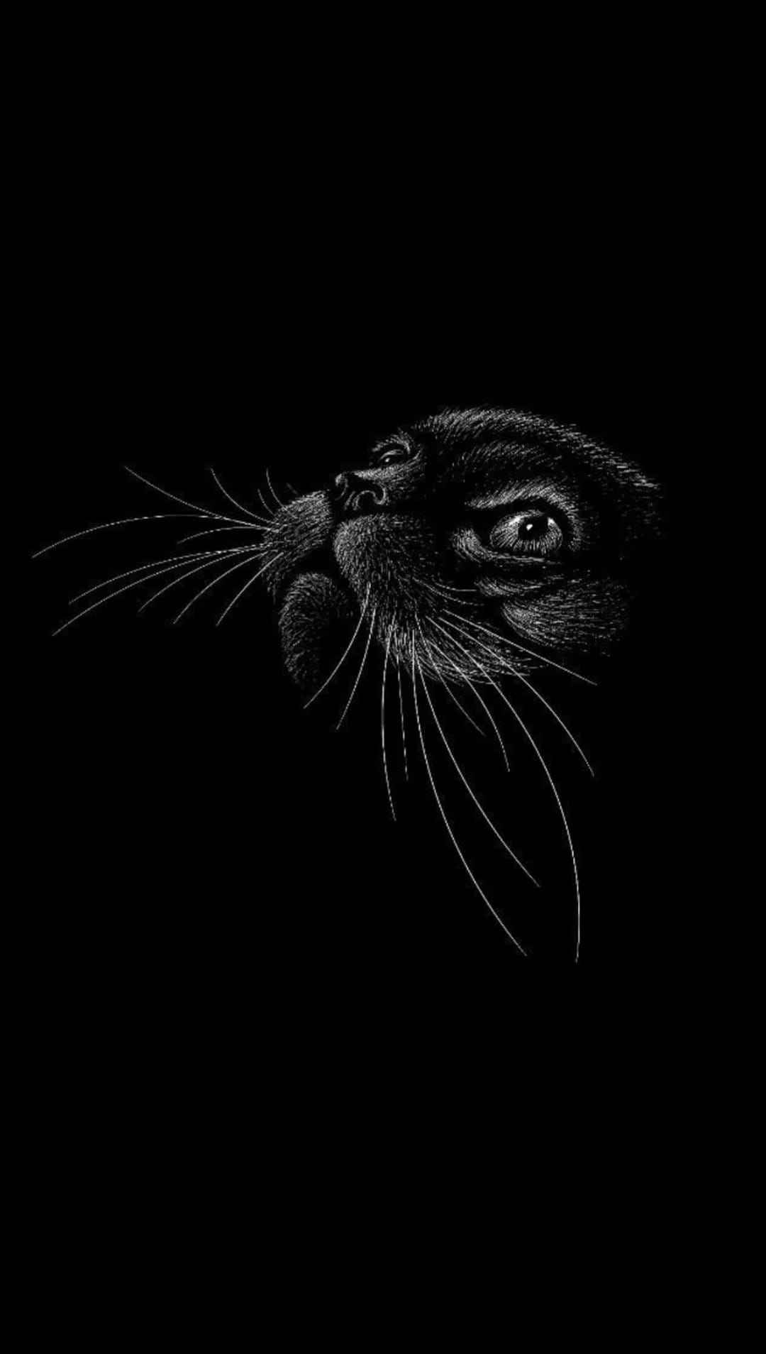 Black cat face with long white whiskers and textured fur hand-drawn on a solid dark background in close-up.