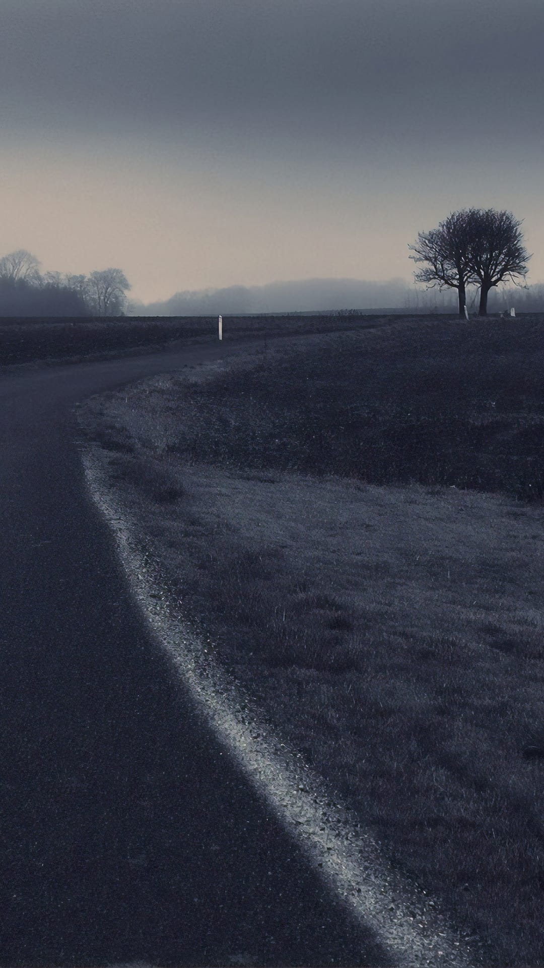 Narrow rural road winding through thick fog between silhouettes of bare trees in a monochrome landscape.