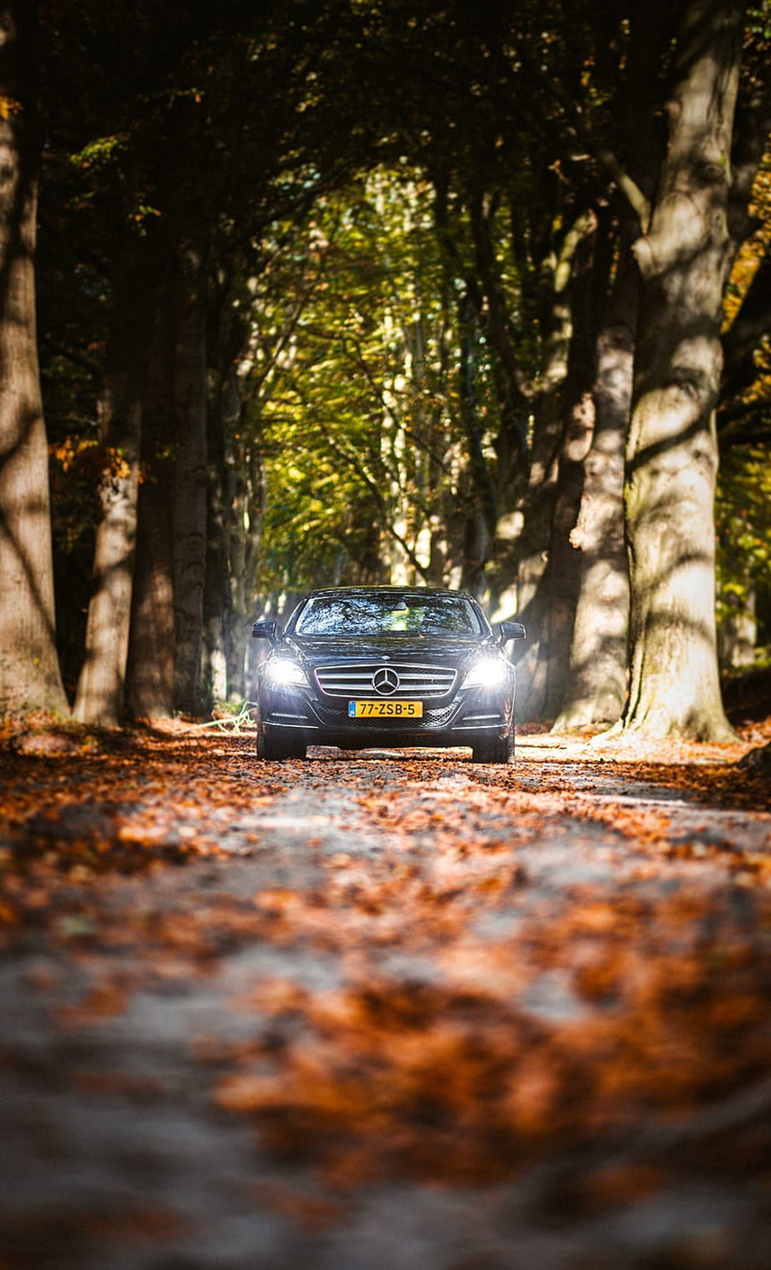 Black Mercedes sedan driving on a leaf-covered forest road during autumn with sunlight filtering through trees.