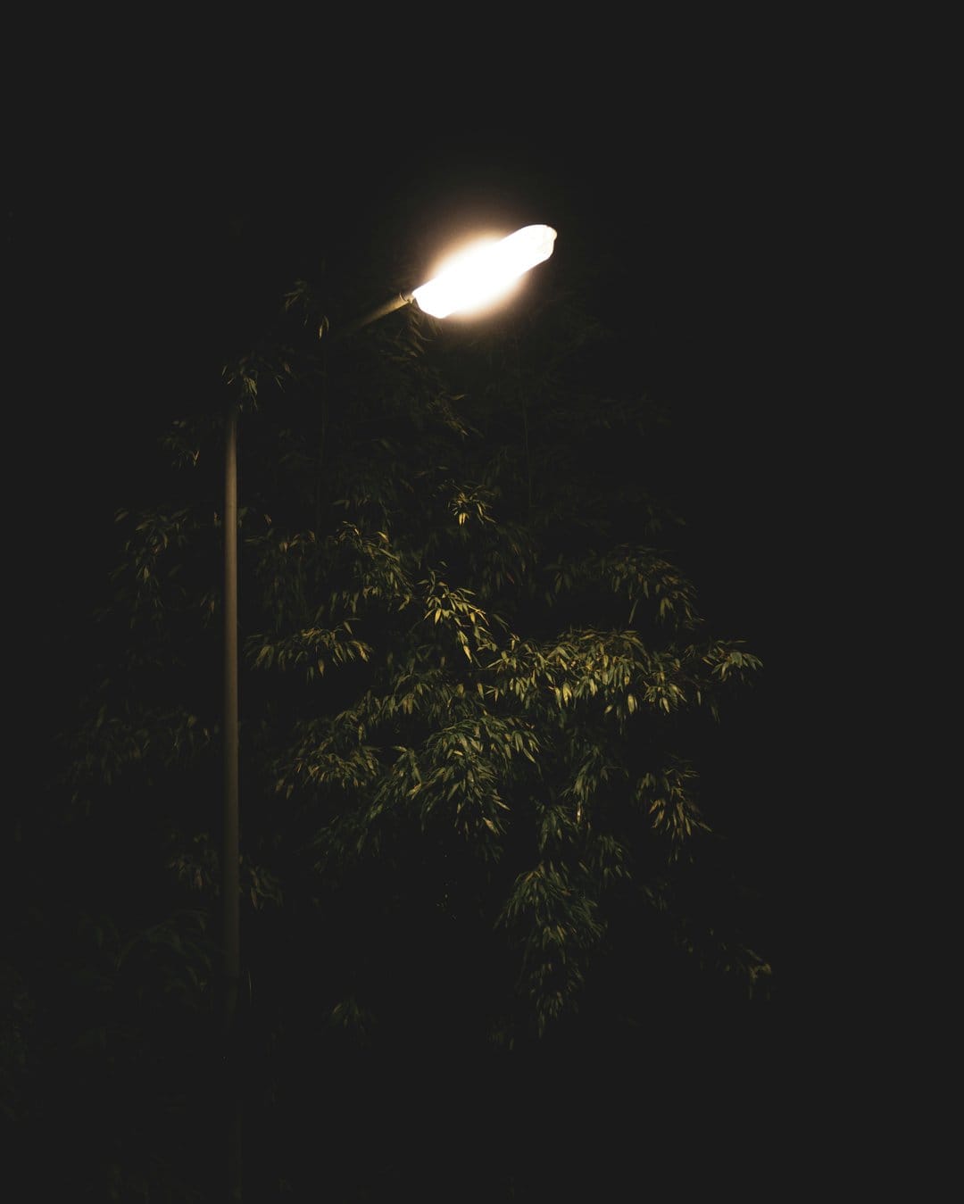 Streetlight casting a warm yellow glow onto textured tree leaves against a stark and deep black nighttime sky.