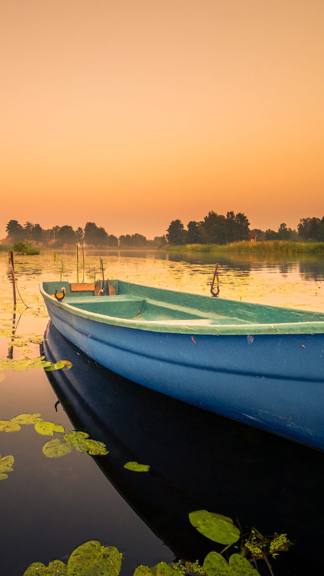Blue rowboat floating on a misty lake at sunrise with lily pads in the foreground and a line of distant trees.