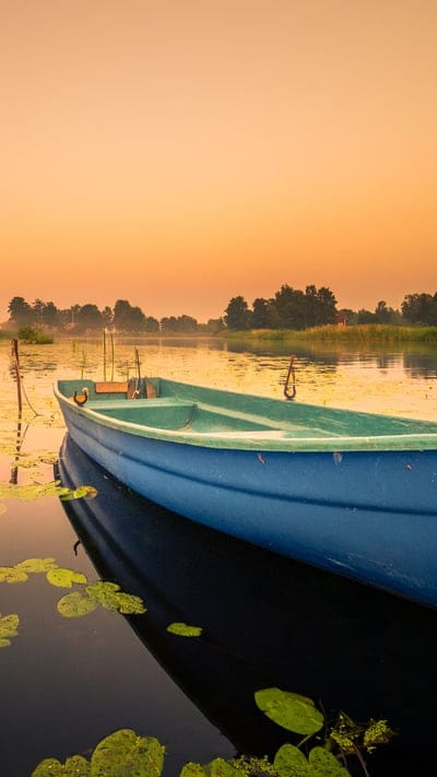 Boat, lake, dawn, sunrise, calm water, serene, peaceful, rowboat, lily pads, nature, water, reflection, tranquility, morning, idyllic, landscape, outdoors, stillness, golden light, quiet