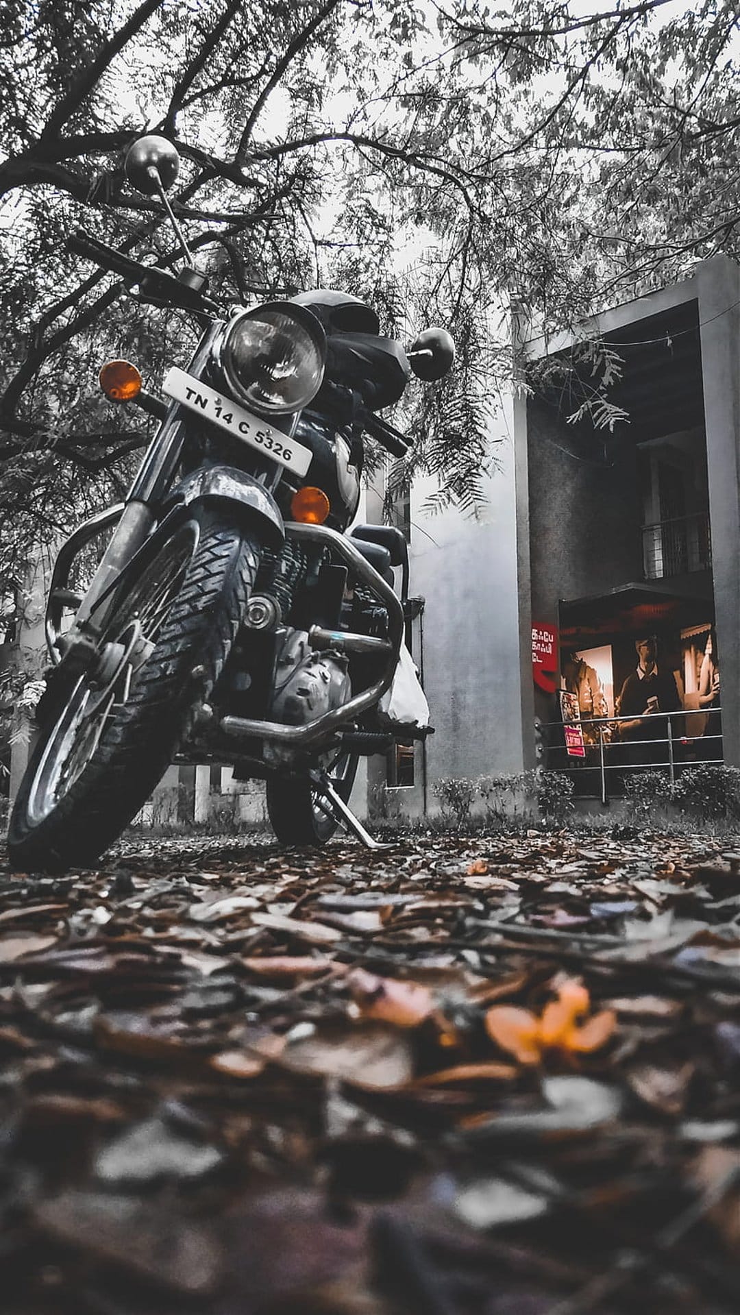 Vintage motorcycle parked on orange autumn leaves with a grayscale street background and selective color.