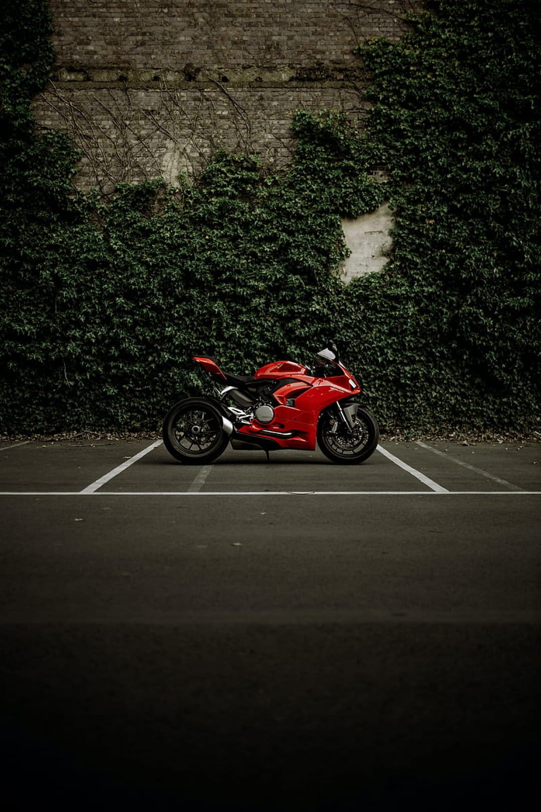 Red Ducati motorcycle in profile parked beside a textured brick wall covered in green climbing ivy leaves.
