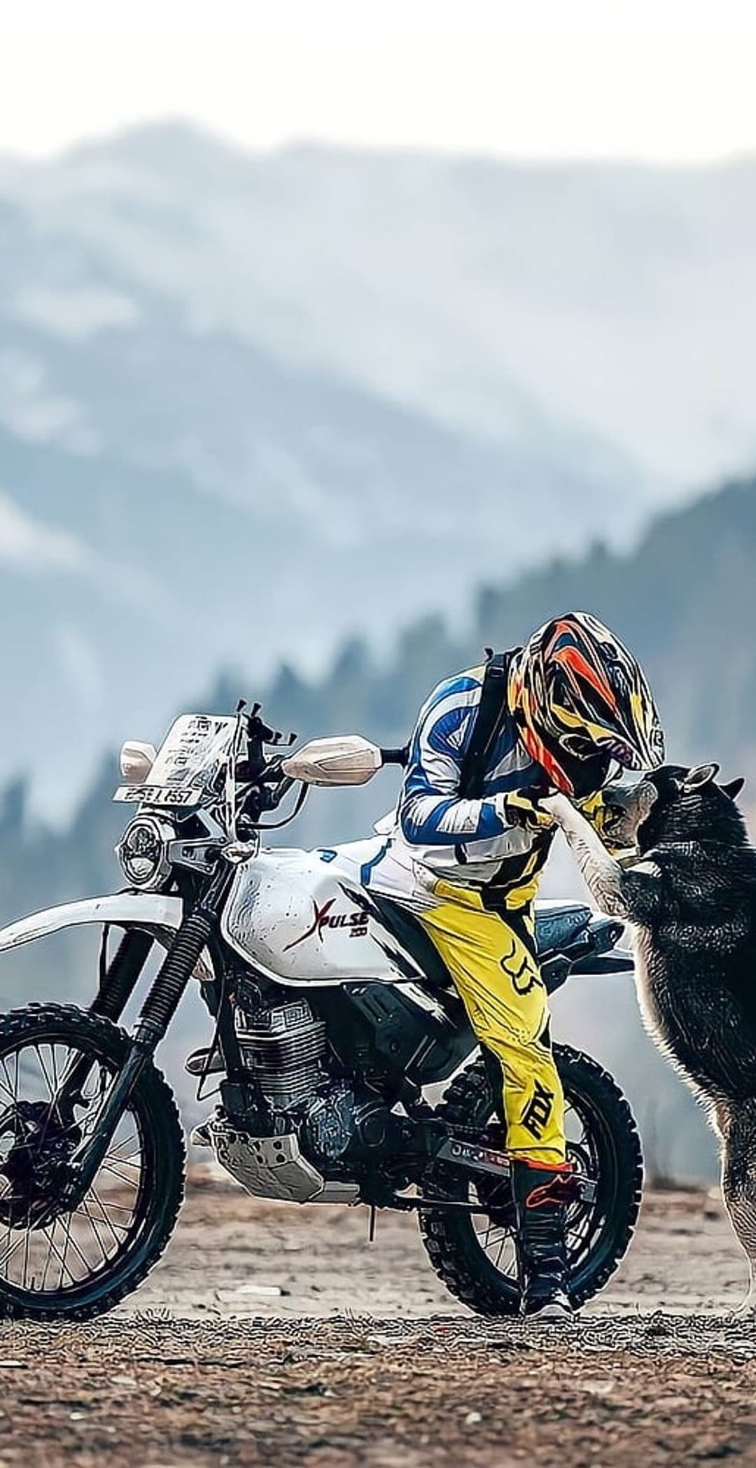 Motocross rider in yellow and blue gear petting a black dog beside a motorcycle on a misty mountain ridge.
