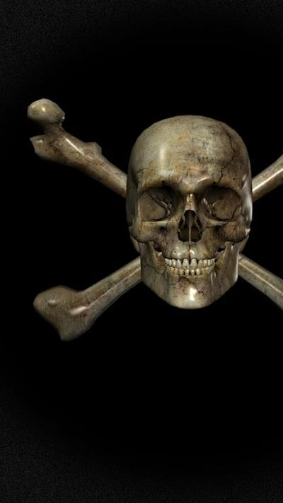 Skull 3D, bone, head