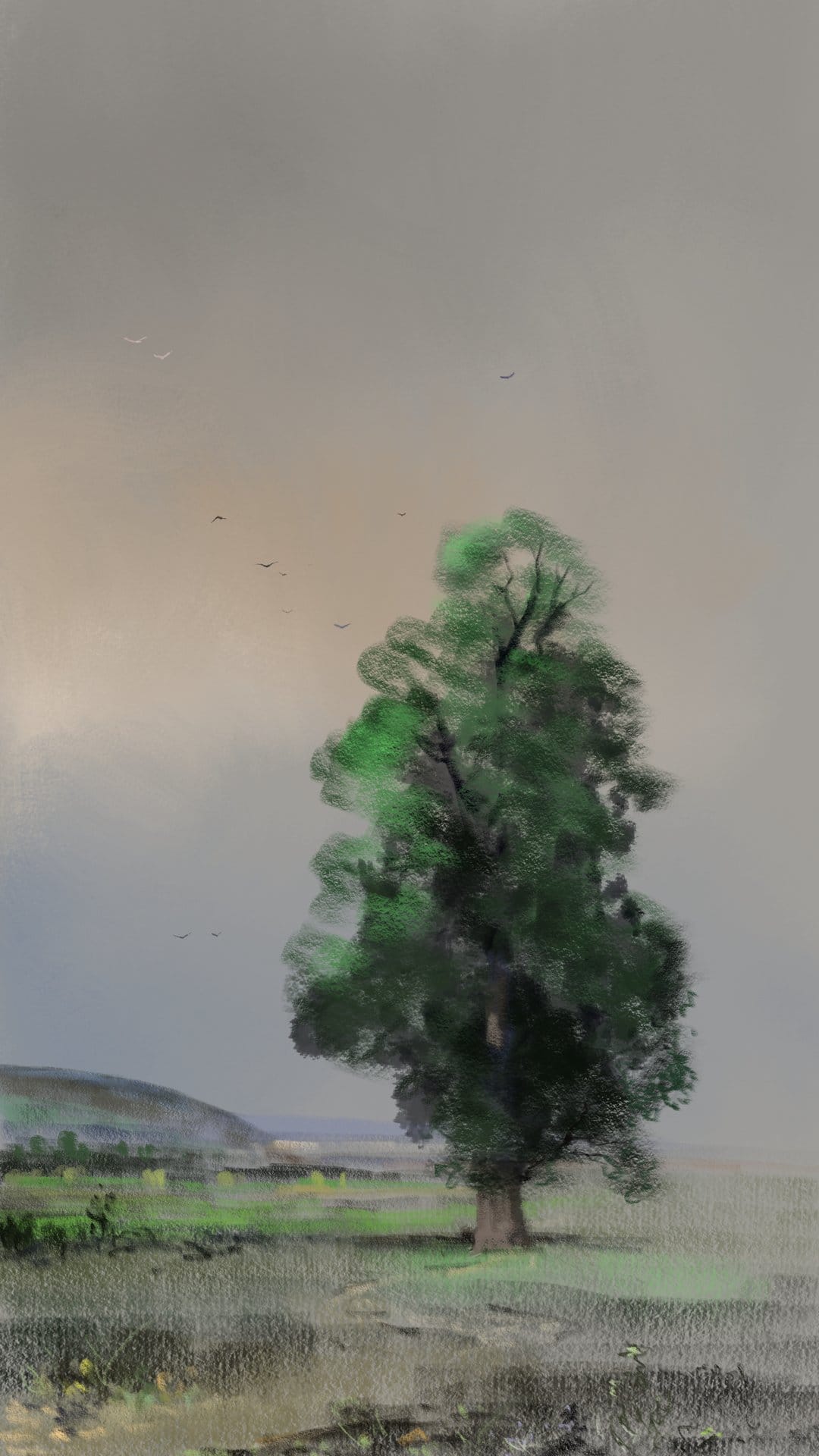 Lone green tree in a misty meadow with birds flying across a muted sky amidst rolling pastoral hills and fog.