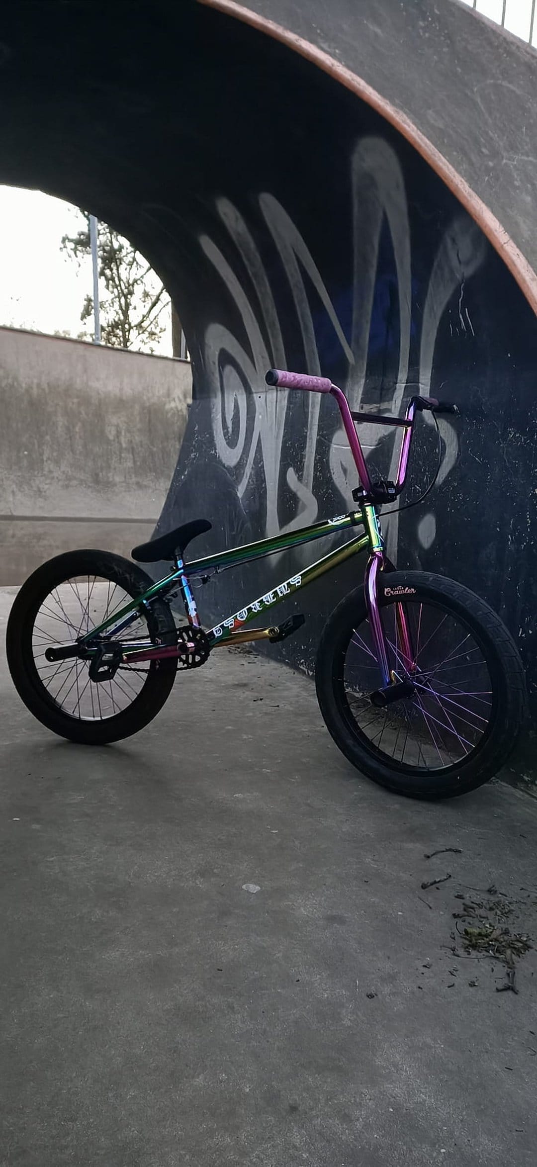 Iridescent oil-slick BMX bike parked against a concrete graffiti wall at an urban skatepark with curved ramps.