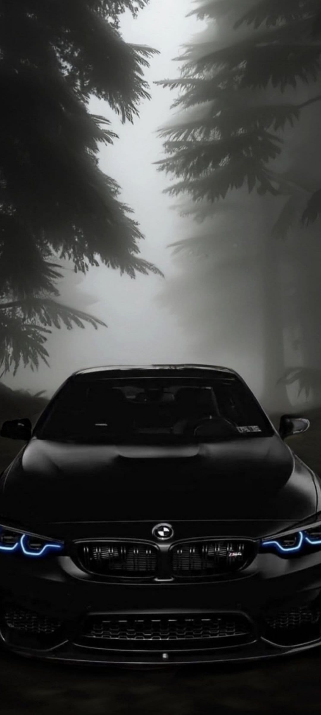 Black BMW M4 sports car with glowing blue headlights parked on a foggy forest road amidst dense trees and mist.