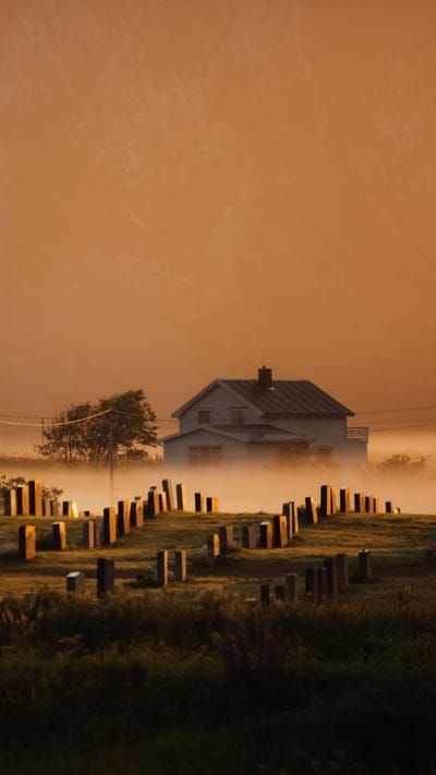 fog, house, eerie, nature, tranquil, atmospheric, peaceful, moody, mysterious, warm light, landscape, serene, rural, quiet, solitude, subtle, unique, outdoor, solemn, old