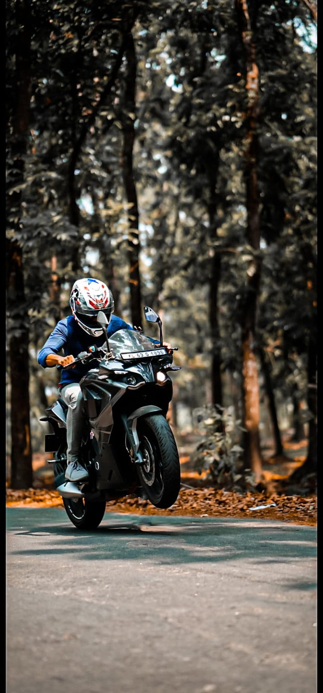 Motorcyclist in a blue shirt performs a wheelie on a paved road surrounded by towering dark forest trees.