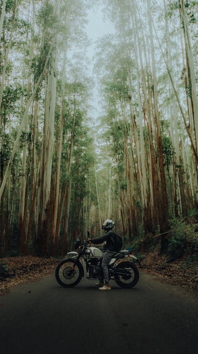 motorcyclist,biker,motorcycle,bike,road,trees,forest,nature