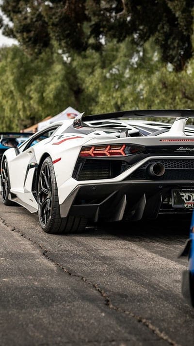 Aventador SVJ, lamborghini, white, car, supercar, 2019, america, new, mobile wallpaper, android wallpaper, iPhone wallpaper, phone wallpaper