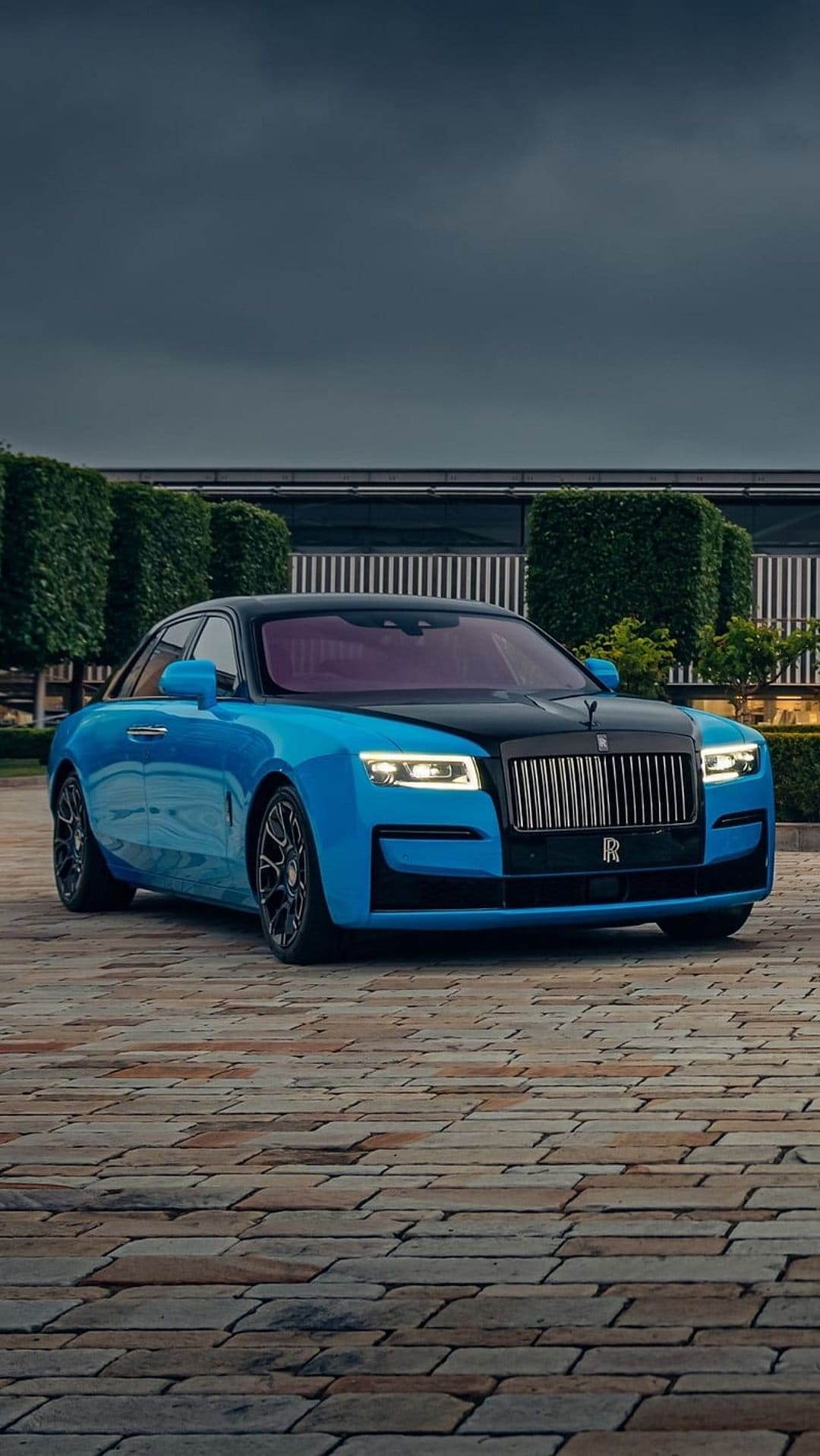 Rolls-Royce Ghost in electric blue with a black hood parked on a stone driveway near green garden hedges.