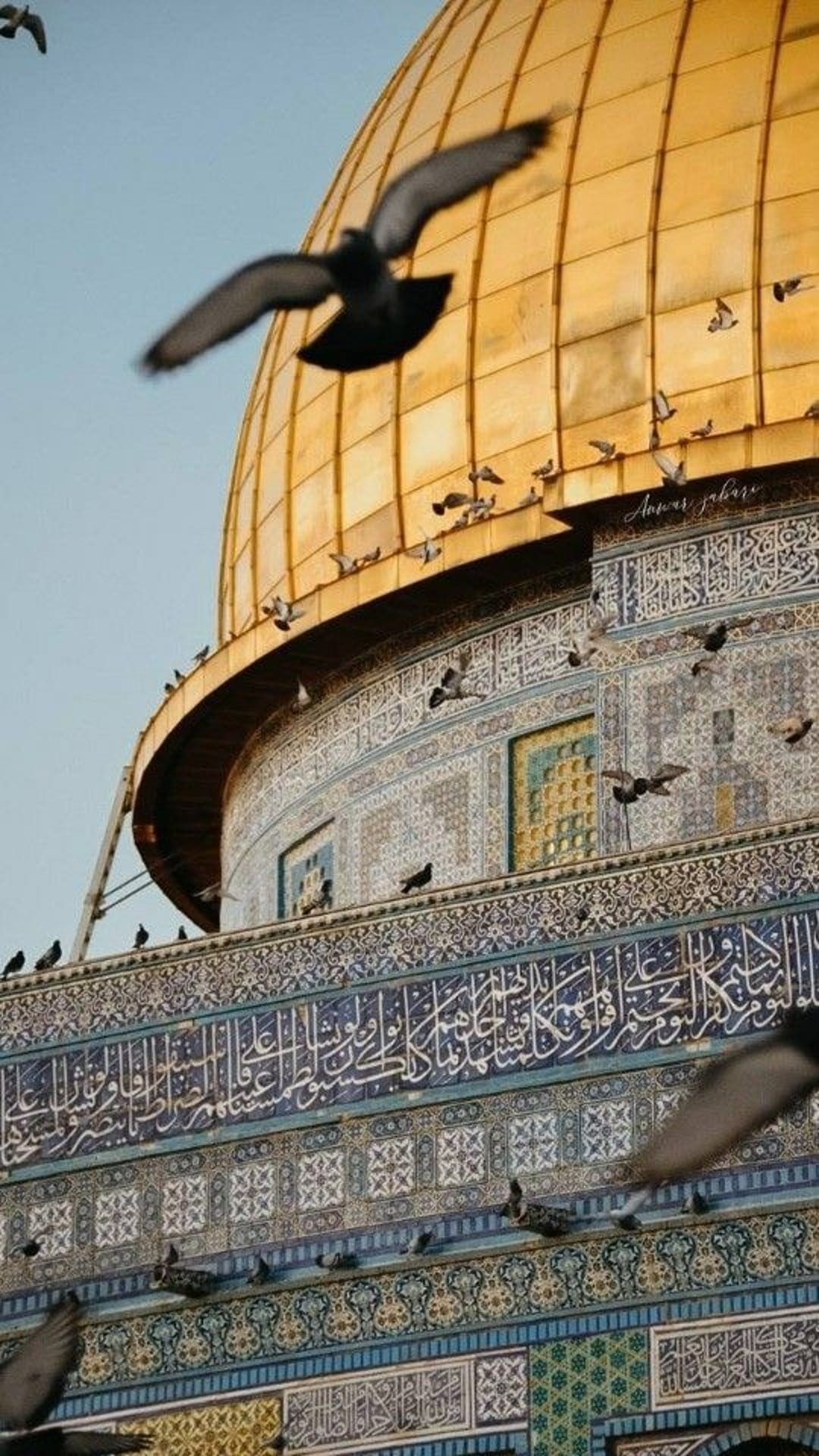 White doves flying around the golden dome of the Rock in Jerusalem against a clear blue sky and blue mosaic walls.