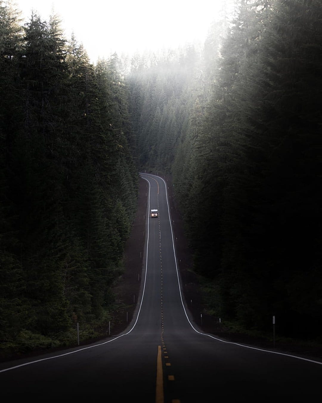 Black car drives on a winding asphalt road through a misty evergreen forest with bright golden sunbeams.