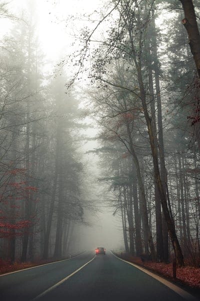road, car, fog, trees, mobile wallpaper, android wallpaper, iPhone wallpaper, phone wallpaper