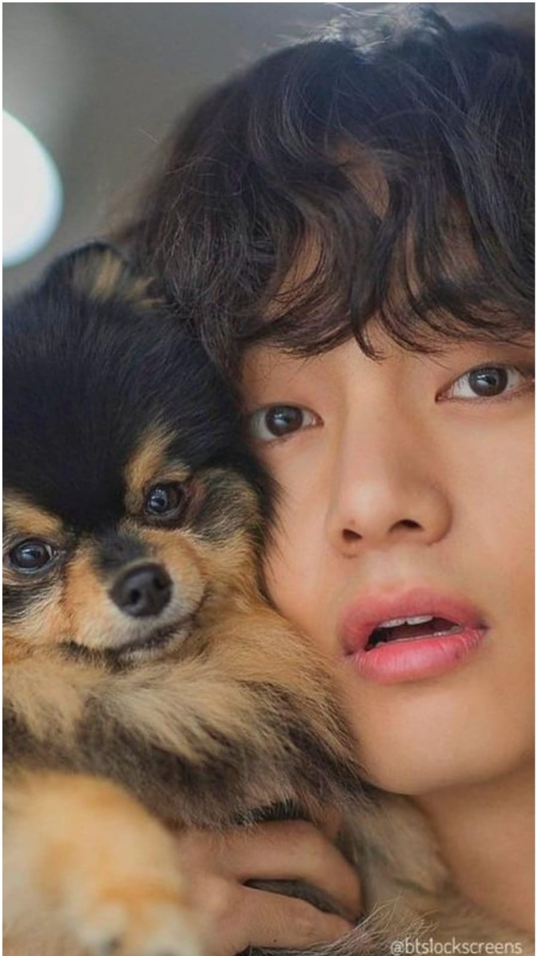 Kim Taehyung of BTS rests his face against a small fluffy Pomeranian dog in a warm, close-up vertical portrait.