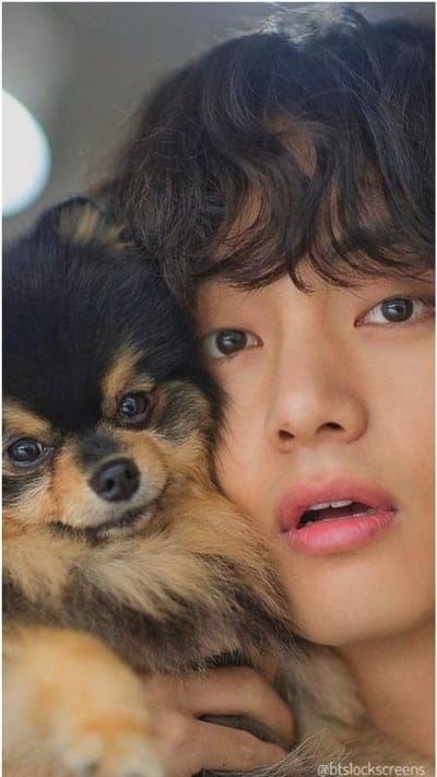 Bts V , bts v, cute, dog