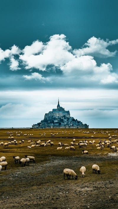 Mont Saint-Michel, Sheep, Medieval, Landscape, France, Historic, Rural, Animals, Clouds, Island, Abbey, Nature, Scenic, Travel, Normandy, Grazing, Pastoral, Countryside, Europe, Tranquil