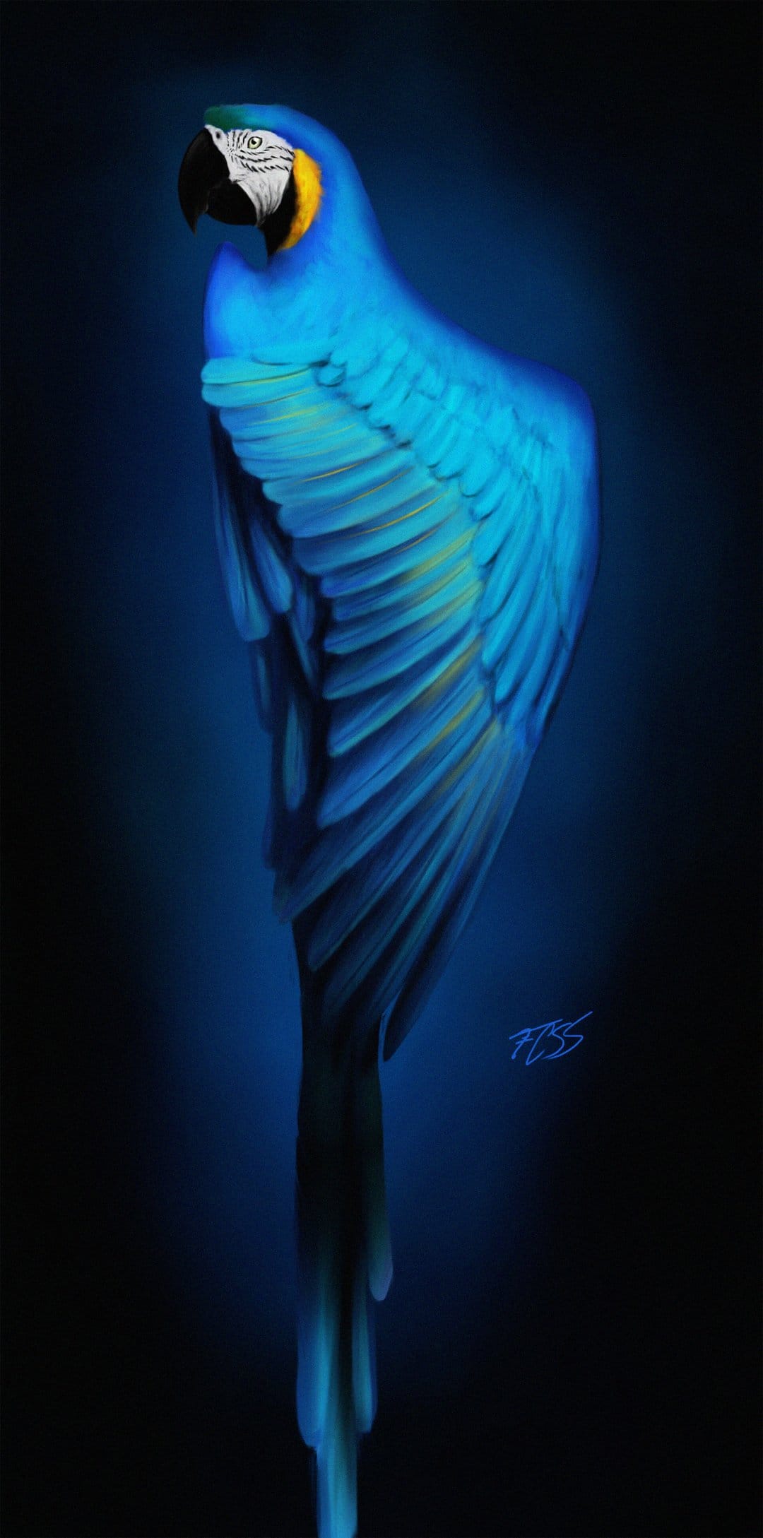 Blue and yellow macaw with detailed feather textures gazes sideways against a dark, moody background.