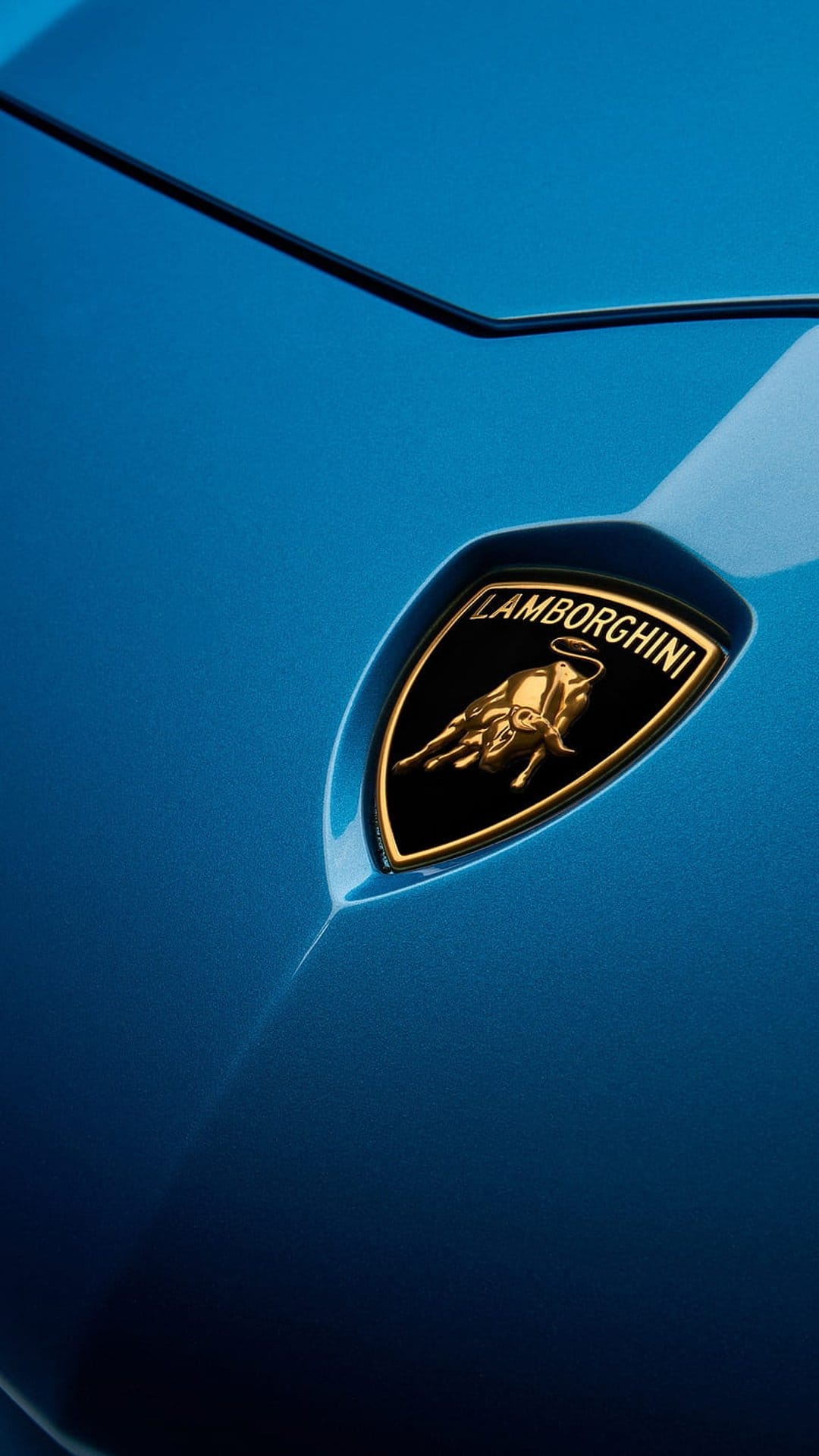 Gold Lamborghini crest with a raging bull emblem mounted on deep blue metallic car paint in sharp focus.